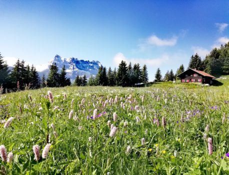 Camps Nature pour les écoles