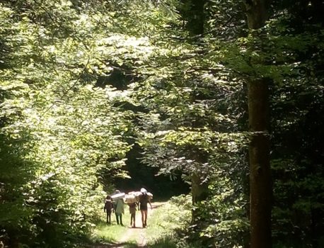 Botanique & Cueillette