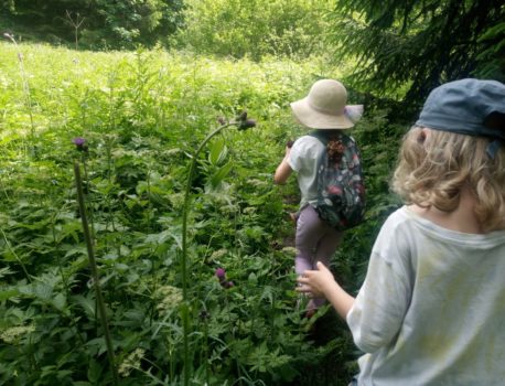 Vacances d&rsquo;été à la Montagne